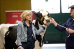 Enschede 26 februari 2019
Presentatie cast van Hanna van Hendrik met oa Huub Stapel en Johanna ter Steege. Presentatie is op vliegveld Twente.