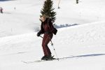 Lech 25 februari 2019
Koning Willem-Alexander, Koningin MÃ¡xima, Prinses Beatrix, Prins Constantijn, Prinses Laurentien en de prinsessen Amalia, Alexia en Ariane samen met Eloise, Leonore en Claus-Casimir tijdens de fotosessie tijdens de wintersportvakantie in Lech.