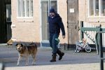 Westbeemster 7 maart 2020
Boer Jan van Boer zoekt vouw . Jan heeft een zorgboederij.