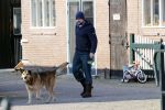 Westbeemster 7 maart 2020
Boer Jan van Boer zoekt vouw . Jan heeft een zorgboederij.