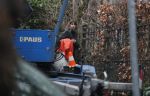Amsterdam 8 januari 2020
Verhuizing Isa Hoes van haar huis aan het vondelpark naar een nieuw huis.