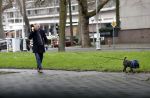 Amsterdam 17 januari 2020
Tom Egbers laat al bellend zijn hond uit