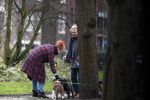 Amsterdam 31 januari 2020
Tom Egbers laat bellend zijn hond uit