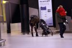 Schiphol 27 februari 2020
Wesley Sneijder haalt zijn zoon Xess Xava en Yolathe Cabau v Kasbergen op nadat ze van uit Los Angeles naar Amsterdam/schiphol zijn gevloegen.