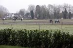 Lage Vuursche en Soest 27 februari 2021
Chris Visser biedt petitie aan bij Prinses Beatrix op Drakensteyn .  De grond bij paleis soestdijk waar misschien  huizen gebouwd gaan worden .