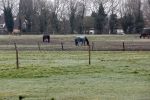 Lage Vuursche en Soest 27 februari 2021
Chris Visser biedt petitie aan bij Prinses Beatrix op Drakensteyn .  De grond bij paleis soestdijk waar misschien  huizen gebouwd gaan worden .