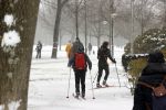 Amstetrdam februari 2021
Sneeuwpret in Amsterdam zuid en het vondelpark.