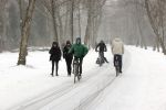 Amstetrdam februari 2021
Sneeuwpret in Amsterdam zuid en het vondelpark.