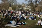 Amsterdam 24 februari 2021
Grote drukte in het vondelpark tijdens corona. Het was heerlijk weer met een zonnetje en een graad of 20.