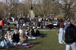 Amsterdam 24 februari 2021
Grote drukte in het vondelpark tijdens corona. Het was heerlijk weer met een zonnetje en een graad of 20.