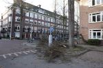 Amsterdam 19 februari 2022
Ellemieke Vermolen is tijdens de storm onder een boom terecht gekomen met haar auto.
