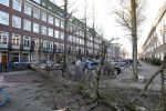 Amsterdam 19 februari 2022
Ellemieke Vermolen is tijdens de storm onder een boom terecht gekomen met haar auto.