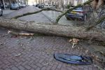 Amsterdam 19 februari 2022
Ellemieke Vermolen is tijdens de storm onder een boom terecht gekomen met haar auto.