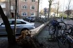 Amsterdam 19 februari 2022
Ellemieke Vermolen is tijdens de storm onder een boom terecht gekomen met haar auto.
