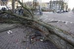 Amsterdam 19 februari 2022
Ellemieke Vermolen is tijdens de storm onder een boom terecht gekomen met haar auto.