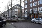 Amsterdam 19 februari 2022
Ellemieke Vermolen is tijdens de storm onder een boom terecht gekomen met haar auto.