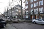 Amsterdam 19 februari 2022
Ellemieke Vermolen is tijdens de storm onder een boom terecht gekomen met haar auto.