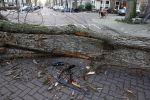 Amsterdam 19 februari 2022
Ellemieke Vermolen is tijdens de storm onder een boom terecht gekomen met haar auto.