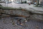 Amsterdam 19 februari 2022
Ellemieke Vermolen is tijdens de storm onder een boom terecht gekomen met haar auto.