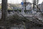 Amsterdam 19 februari 2022
Ellemieke Vermolen is tijdens de storm onder een boom terecht gekomen met haar auto.