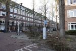 Amsterdam 19 februari 2022
Ellemieke Vermolen is tijdens de storm onder een boom terecht gekomen met haar auto.