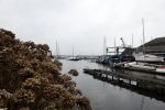 Loosdrecht 8 maart 2023
Andre v Duin is naar dit huis wezen kijken om eventueel te kopen . Het ligt aan de Loosdrechtse plassen