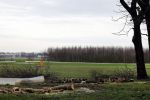 Noordwijkerhout 15 februari 2024
Op nde locatie gaan Maxime Meiland Martien Meiland en Erica Meiland twee huizen bouwen . De electriciteitsvoorxieningen staan er al en er zijn al meerdere bomen gekapt.