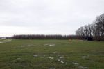 Noordwijkerhout 15 februari 2024
Op nde locatie gaan Maxime Meiland Martien Meiland en Erica Meiland twee huizen bouwen . De electriciteitsvoorxieningen staan er al en er zijn al meerdere bomen gekapt.