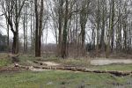 Noordwijkerhout 15 februari 2024
Op nde locatie gaan Maxime Meiland Martien Meiland en Erica Meiland twee huizen bouwen . De electriciteitsvoorxieningen staan er al en er zijn al meerdere bomen gekapt.