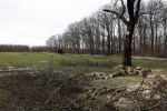Noordwijkerhout 15 februari 2024
Op nde locatie gaan Maxime Meiland Martien Meiland en Erica Meiland twee huizen bouwen . De electriciteitsvoorxieningen staan er al en er zijn al meerdere bomen gekapt.