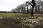 Noordwijkerhout 15 februari 2024
Op nde locatie gaan Maxime Meiland Martien Meiland en Erica Meiland twee huizen bouwen . De electriciteitsvoorxieningen staan er al en er zijn al meerdere bomen gekapt.