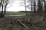 Noordwijkerhout 15 februari 2024
Op nde locatie gaan Maxime Meiland Martien Meiland en Erica Meiland twee huizen bouwen . De electriciteitsvoorxieningen staan er al en er zijn al meerdere bomen gekapt.
