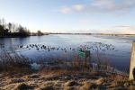 Zuiderwoude 18 januari 2024
Ijs op de wateren bij Zuiderwoude