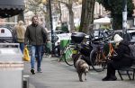 Amsterdam 20 februari 2026
Prins Maurits met zijn hond in Amsterdam zuid.