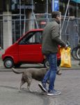 Amsterdam 20 februari 2026
Prins Maurits met zijn hond in Amsterdam zuid.