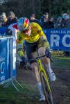 Wout v Aert