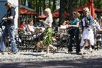 Laren 10 mei 2006
Bridget Maasland maakt opnames voor Hoe word ik een Gooische vrouw. Bridget heeft oppas voor de hond bij.