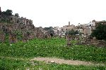 Rome, 29 Maart 2006
Forum Romanum