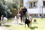 Bosch en Duin 11 april 2007
Belinda Meuldijk en haar verloofde Thierry Duval met hun honden.