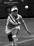 Rosmalen, 21 Juni 2006
3e ronde Ordina Tennistoernooi 2006
Michaella Krajicek