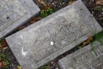 Soestdijk 30 november 2006
Interieur en exterieur foto's van paleis soestdijk. Vanaf 15 december gaat het paleis open voor publiek. Prins Bernhard en Prinses Juliana waren de laatste bewoners.
