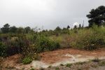Ibiza 3 mei 2010
Slecht weer op ibiza , mist regen en zelfs hagel.
Peter Smulders bv