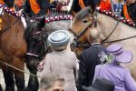 Wemeldinge/Middelburg  30 april 2010
Koningin Beatrix Prins Willem Alexander Prinses Maxima Prins Friso Prinses mabel Wisse Smit Prins Constantijn Prinses laurentien Pieter v Vollenhoven Prinses Margriet Prins Bernhard jr en Prinses Annette Prins Pieter Christiaan Prinses Anita Prins Floris en Prinses Aimee vieren koninginnedag.
Peter Smulders bv