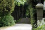 Wassenaar 29 mei 2010
Prinses Margarita haar man Tjalling ten Cate en prinses Irene hebben op de horsten bij Prins Willem Alexander en Maxima een huis met opstallen gekocht die ze gaan verbouwen om daar te wonen.
Peter Smulders bv