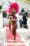 Amsterdam 26 april 2011
Presentatie TC WOW Beach by Daphne Deckers op strand zuid. Braziliaanse danseressen
Peter Smulders bv