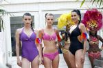 Amsterdam 26 april 2011
Presentatie TC WOW Beach by Daphne Deckers op strand zuid.
Peter Smulders bv