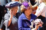 Rhenen en Veenedaal 30 april 2012
Koninginnedag met daarbij aanwezig koningin Beatrix Prins Willem Alexander Prinses Maxima Prins Constantijn Prinses Laurentien Prinses Margrite Prins Maurits Prinses Marilene Prins Bernhard Prinses Annette Prins Pieter Christiaan Prins Floris Prinses Aimee en Pieter v Vollenhoven.
Peter Smulders bv