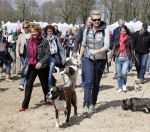 Busloo Apeldoorn 21 april 2013
Royal Canin organiseert grootste wandeltocht voor hond voor stichting Hulphond. Ambassadrices Anita Witzier Anouk Smulders en Martin Gaus lopen ook mee.
Peter Smulders bv