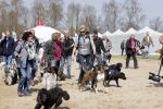 Busloo Apeldoorn 21 april 2013
Royal Canin organiseert grootste wandeltocht voor hond voor stichting Hulphond. Ambassadrices Anita Witzier Anouk Smulders en Martin Gaus lopen ook mee.
Peter Smulders bv