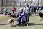 Busloo Apeldoorn 21 april 2013
Royal Canin organiseert grootste wandeltocht voor hond voor stichting Hulphond. Ambassadrices Anita Witzier Anouk Smulders en Martin Gaus lopen ook mee.
Peter Smulders bv